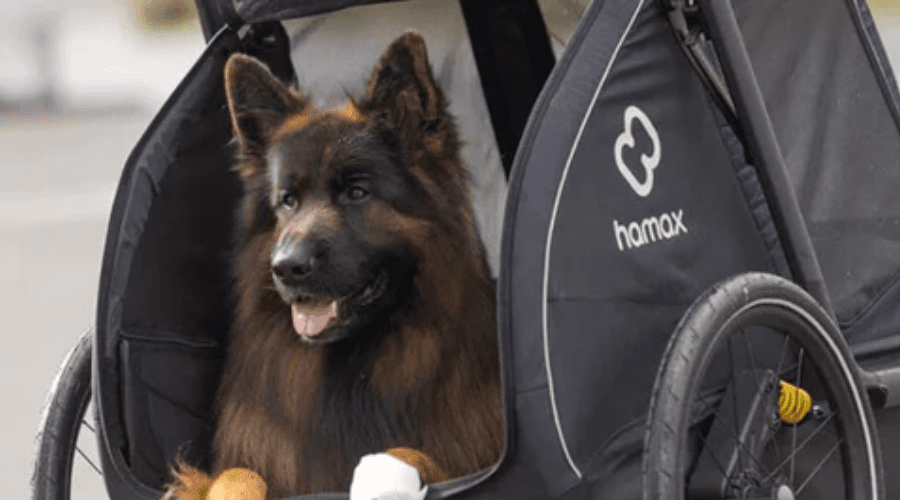 Hamax Dog Pram Hamax Dog Pram